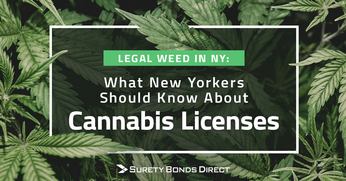 What To Know About Cannabis Licenses In New York