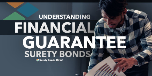 Watch video Financial Guarantee Surety Bonds